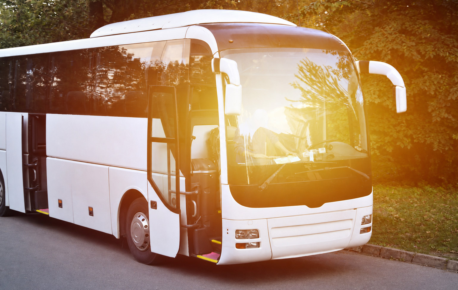 Buses & Coaches